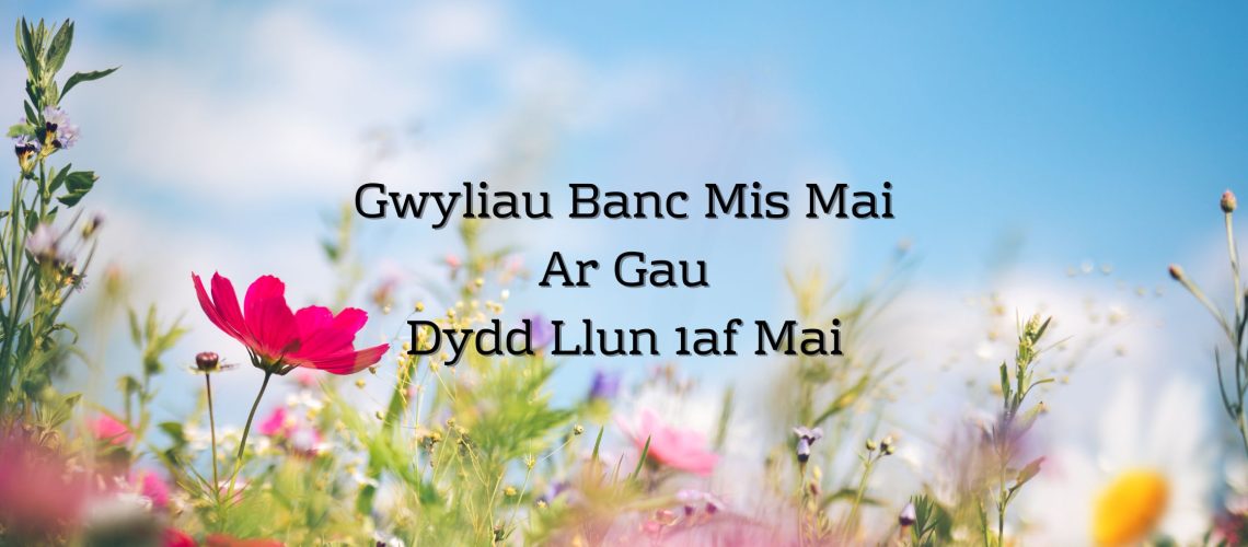 Gwyliau Banc Mis Mai Ar Gau Dydd Llun 1af Mai (Blog Banner) (1)